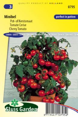 Tomaat Minibel (Solanum) 125 zaden